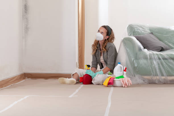 Reliable Bathroom Mold Removal contractor in Longmont, CO by WQB Mold Removal
